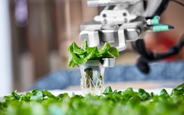 Doanh nghiệp ngại ngùng khi ứng dụng trí tuệ nhân tạo: Làm sao để tháo gỡ?